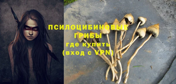 ECSTASY Бугульма