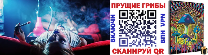 Галлюциногенные грибы Psilocybe  хочу наркоту  Губкинский 